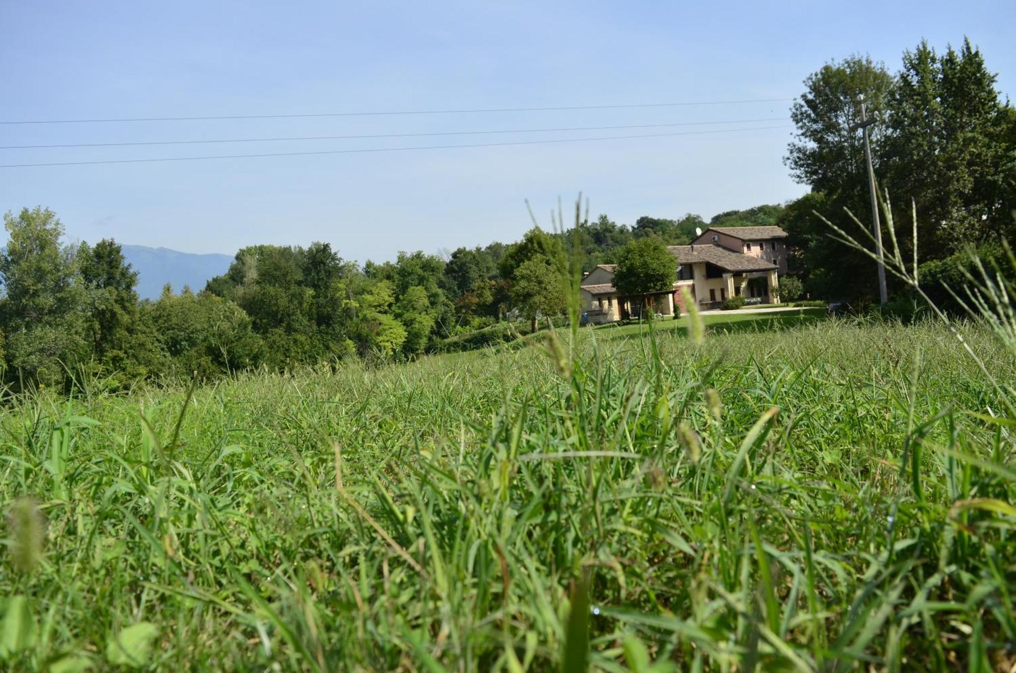 Agriturismo Ca Roer San Zenone Exterior foto